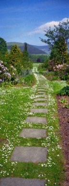 I support the twelve-step philosophy of spiritual and personal growth.